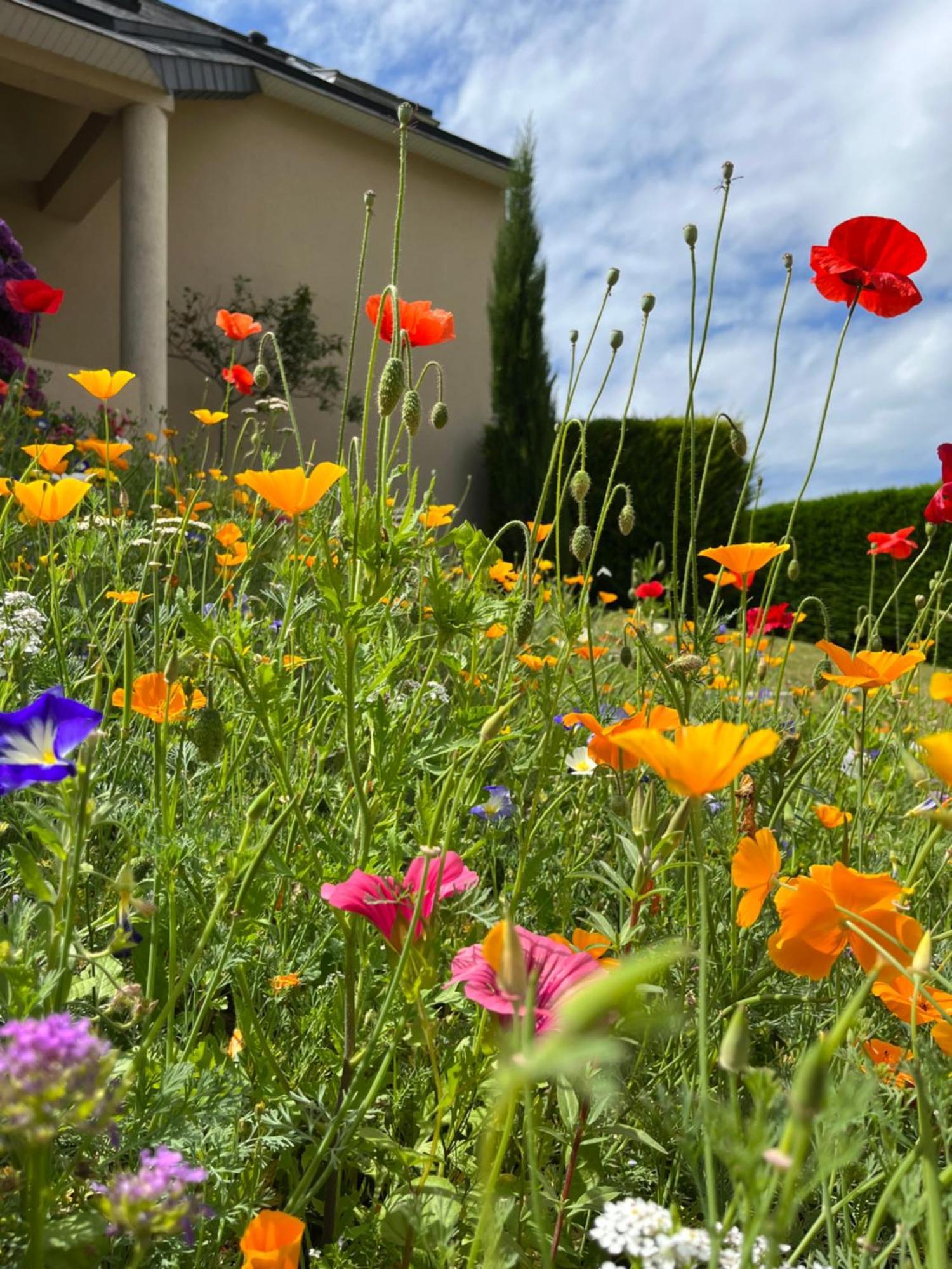 Chez Bea Bed & Breakfast Granville Bagian luar foto